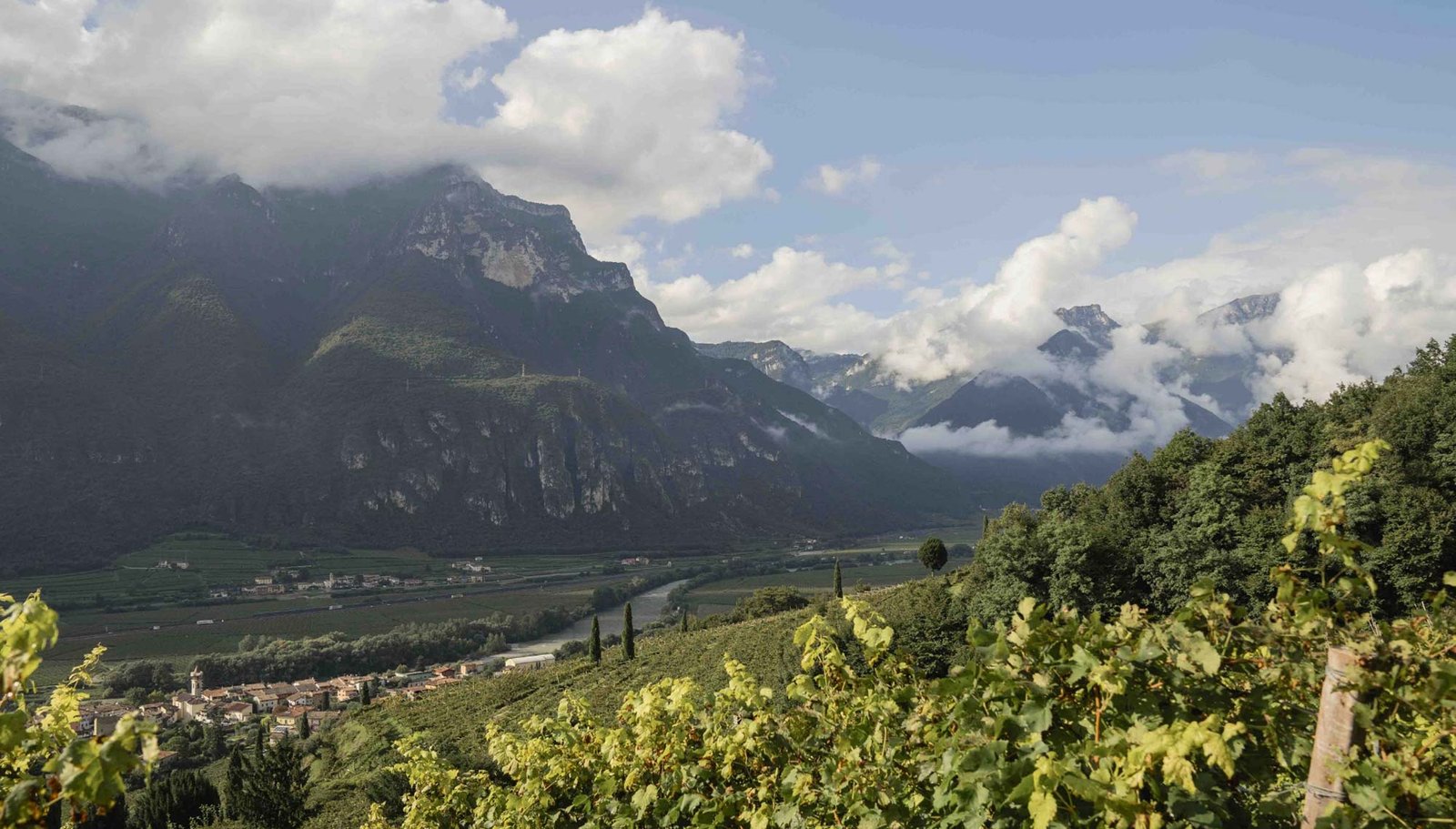 vini Rifèm, Valpolicella vini, Amarone della Valpolicella