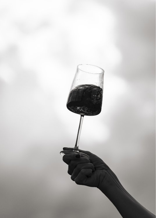 vini artigianali Rifèm